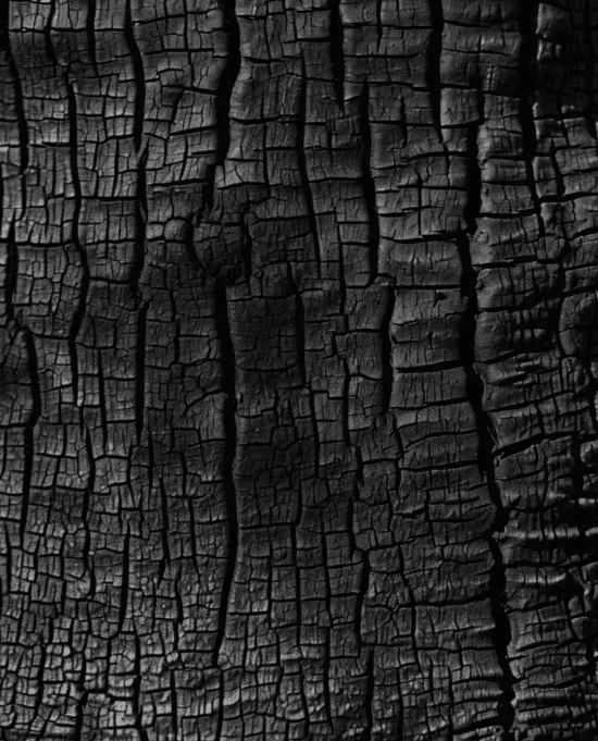 Fivsen_Kin_no_sugi_Material-p-1080